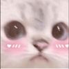 _celex