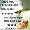 ayeeyoqali