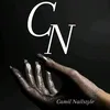 camil.nailstyle