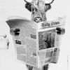 kc_reading