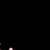 user173529201