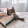 readingwith_ronnie