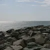 cyrusrider1