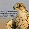 fahd_630