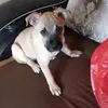 yshkina67lizi