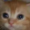 alexitoo_ok