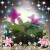 user94183233