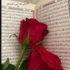 sahar._59