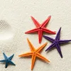 maresolemaresole