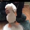 ryan_hockey31