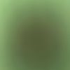neecalove30