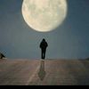 abo.naif211