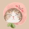 infj_nim