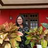 johana.tahitu