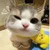 nighty_tetofan