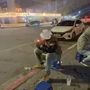 snail_destroys