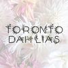 torontodahlias