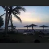 emad_em77