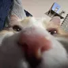 v.i.c.t.o.r.i.a_____
