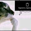 _vyacheslavchek_