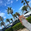 ingridinessouleym
