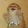 kitty_cat_says_grrrr