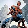 spidernato