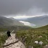 leightonjoness