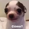 valllllm