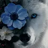 user30nkkm5hq6
