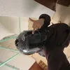 dani_inavoid