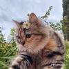 yousra13333