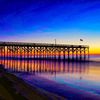 pawleysislandpeeps