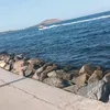 rif.tiktok44ziko_