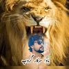 qalabshah5120