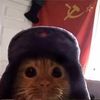 soviet_cat_01