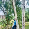 hoangyencc89