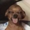 usmell2much0
