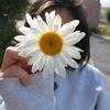 aley_cosisss11