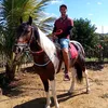 jorgekraferbass
