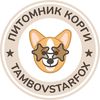 Tambovstarfox
