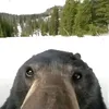 _nik_173