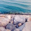 alreem229