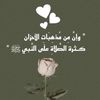 rana_elshaer