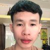 treebo68