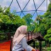 ptri_ambar