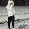 icecity_freedom