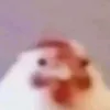 0__o_o_o__0