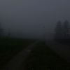 lucc_1