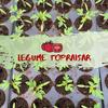 Ferma de Legume Topraisar